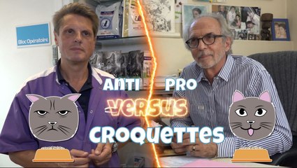 Pour ou contre les croquettes ?