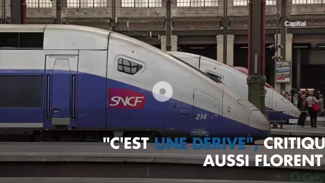 Pizzas, invitations au restaurant ou chèques cadeaux... Ces challenges de la SNCF qui révoltent les syndicats