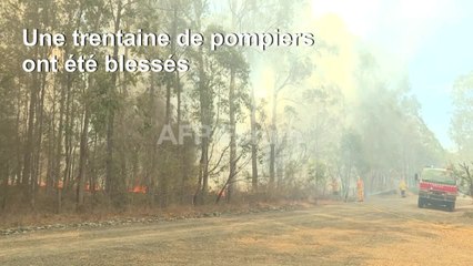 L'Est de l'Australie toujours en feu, 3 morts, 150 maisons brûlées