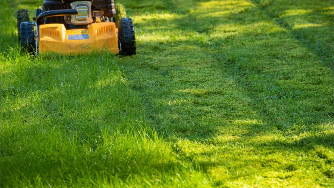 Un voleur trahi par sa tondeuse à gazon