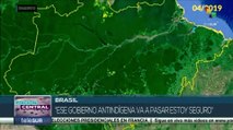 Brasil: Amazonía enfrenta altos niveles de deforestación