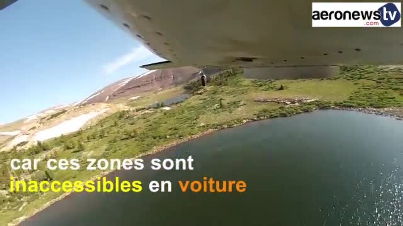 Aux Etats-Unis on largue des poissons par avion