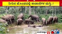 ಮರಿಗಳ ಆಟವನ್ನು ಹೊಂಡದ ಸುತ್ತಲೂ ನಿಂತು ನೋಡುತ್ತಿರುವ ಗಜಪಡೆ..! | Elephants Enjoying In Water | Sakleshpur