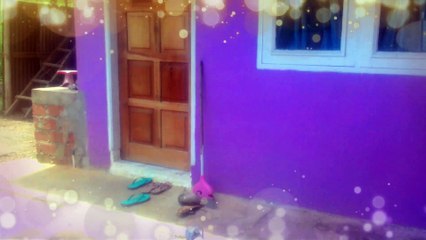 Kucing Lucu Menikmati Cuaca Cerah