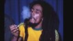Bob Marley Father biography | documentary | bob marley live performance