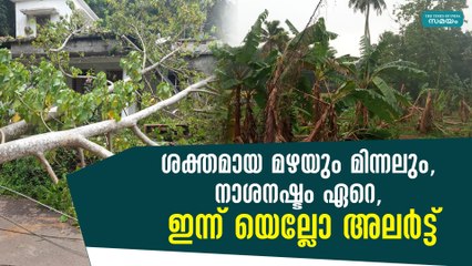 ശക്തമായ മഴയും മിന്നലും, നാശനഷ്ടം ഏറെ,  ഇന്ന് യെല്ലോ അലർട്ട്