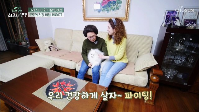 반려동물 다이어트에도 도움을 주는 ‘BNR17’ 유산균 TV CHOSUN 20220409 방송
