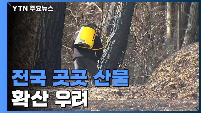 전국 곳곳에 산불 발생...강풍까지 더해 확산 우려 / YTN