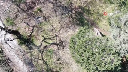 Maltepe'de tarihi tekke harabeye döndü