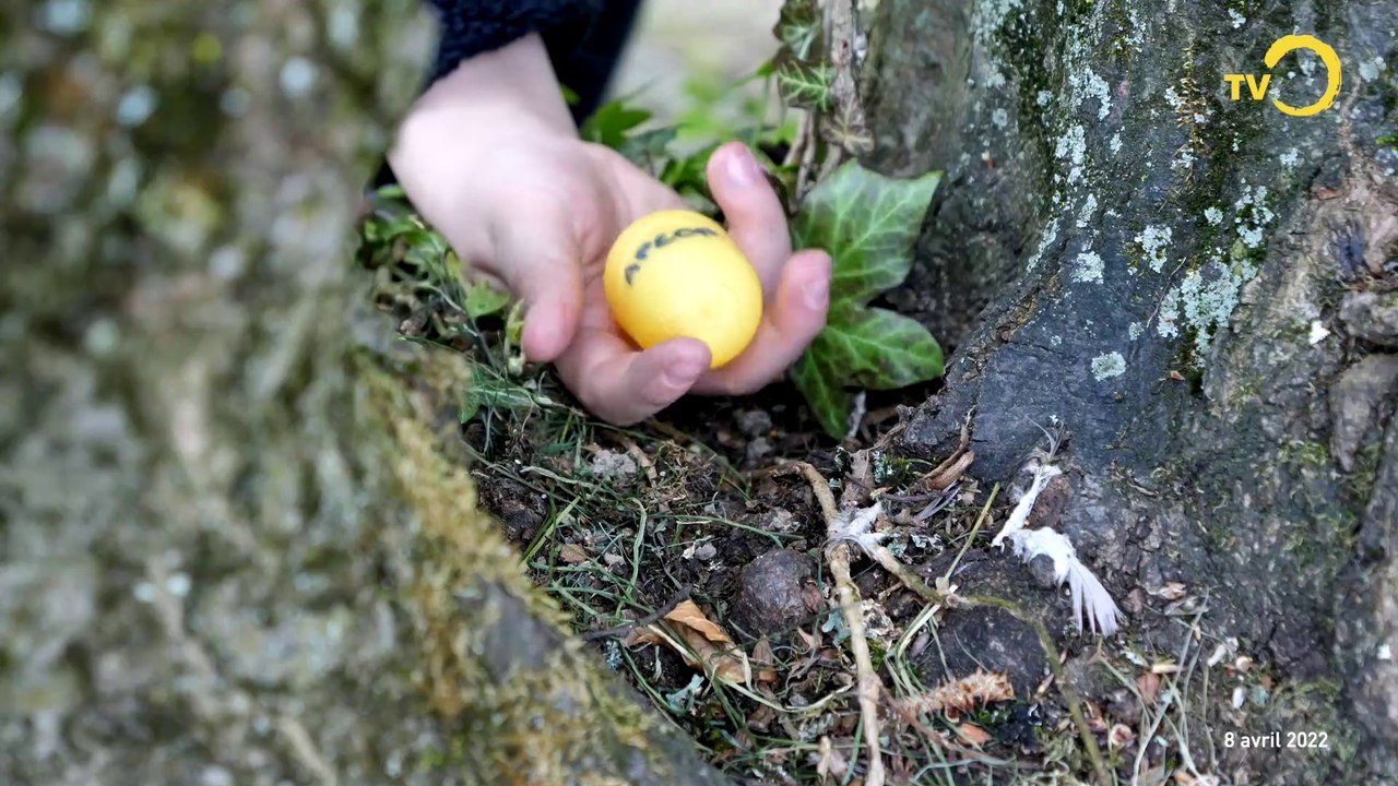 Sans commentaire: Chasse aux oeufs de Pâques