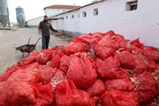 Pahalılık vatandaşın belini bükerken, üreticinin elinde kalan soğanlar depolarda çürüyor