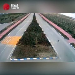 Genç kız 7 başıboş sokak köpeğinin saldırısına uğradı: Dehşet anları kamerada