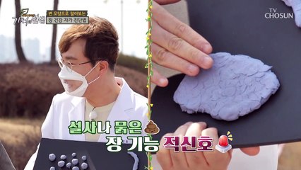 장 건강 자가 진단하는 방법은? ▶대변의 모양◀ TV CHOSUN 20220409 방송