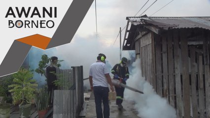 Denggi | Sandakan dilanda wabak denggi