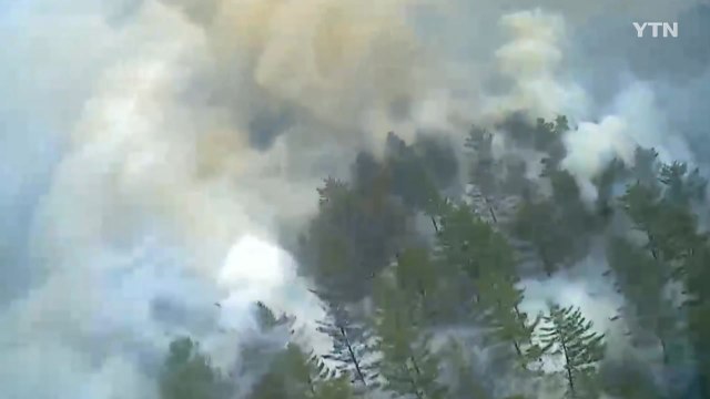 마른 날씨에 강한 바람...전국 곳곳에 산불 / YTN