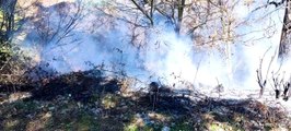 Son dakika haberi: Çanakkale'de çöplük yangını ormana sıçramadan söndürüldü