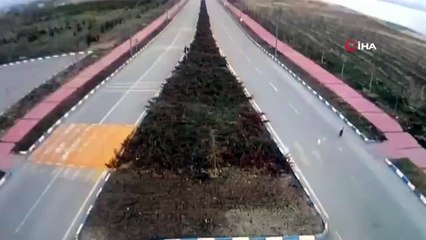 Van’da korku dolu anlar: 7 köpek kız öğrenciye saldırdı