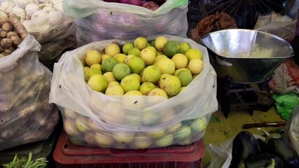 तीहरे शतक के करीब पहुंचा ये...दाम सुनते उड़ जाते है होश