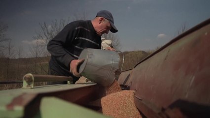 전쟁 장기화로 세계 식량 가격 급등...3월 전달보다 13%↑ / YTN