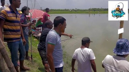 Catla Fishing Videos - Hunting and Fishing in Jessore Fishing Zone Part1