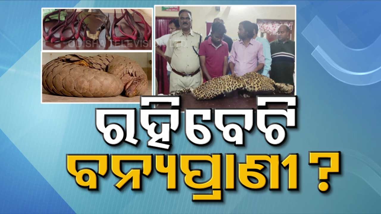 Special Story | Illegal Wildlife Trade On The Rise In Odisha