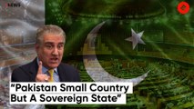 Pakistan Foreign Affairs Minister S M Qureshi attacks Opposition ahead of no-trust vote