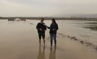 DSİ’nin proje hatası pahalıya patladı: Ekili tarlalar su altında kaldı