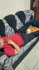 Kitten Makes Biscuits on Sleeping Man's Leg