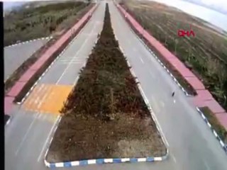 Genç kız dehşeti yaşadı! 7 köpeğin saldırısına uğradı