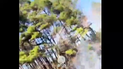 Kompilasi Video Lucu 10 April 2022