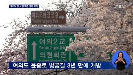 여의도 벚꽃길 3년 만에 개방…"취식은 금지"
