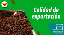 Cultivando Patria | Conoce los diversos tipos de café venezolano con calidad de exportación
