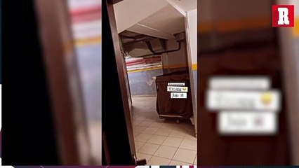 Diente López asusto a André-Pierre Gignac en el vestidor de Tigres