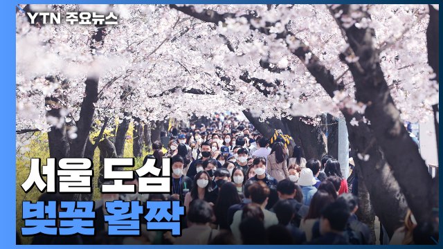 [날씨] 활짝 핀 도심 벚꽃...최고 기온 30℃ 동해안 산불 비상 / YTN