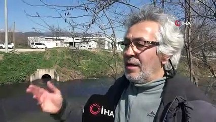 Bursa'da ölüm saçan dereye 'tertemiz akıyor' raporu