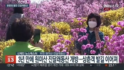 산 전체 물들인 분홍빛 진달래…3년 만에 개방