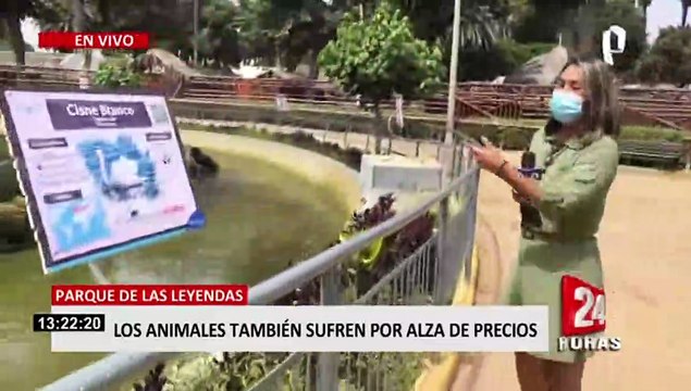 Alza de precios también perjudica a los animales del Parque de las Leyendas