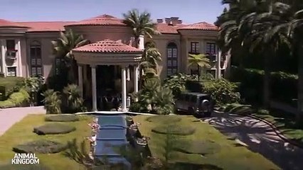 ANIMAL KINGDOM S06 Official Teaser