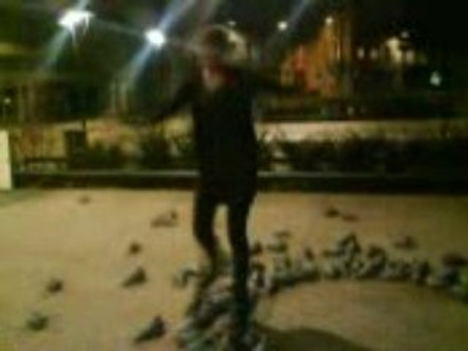 Marion & les pigeons