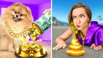 A DOG WAS ADOPTED BY A BILLIONAIRE FAMILY Life of Rich VS Poor Pets Funny Situations by 123 GO