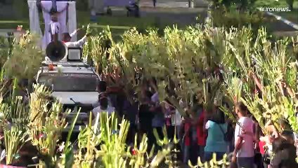 El Papa Francisco lamenta la "locura de la guerra" durante la celebración del Domingo de Ramos