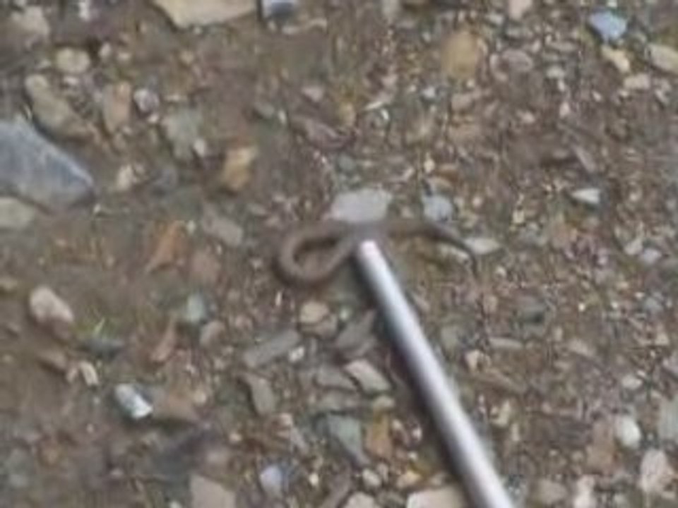 OS DE CIVIS - Ballade dans les alentours de l'hôtel