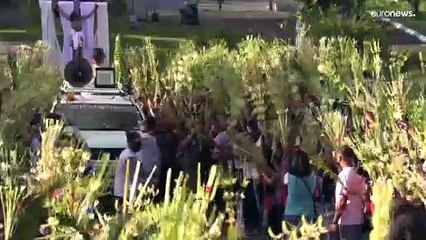 Pope Francis calls for "Easter truce" in Ukraine in Palm Sunday address