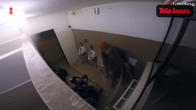 Il déguise son chien en araignée géante pour Halloween et terrifie les passants... Zapping web