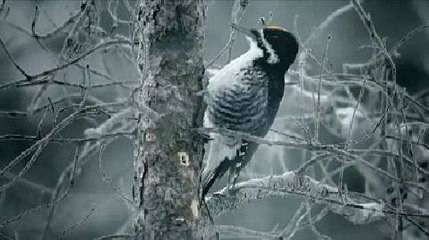 Fargo - saison 2 - Les mafieux se cachent pour mourir