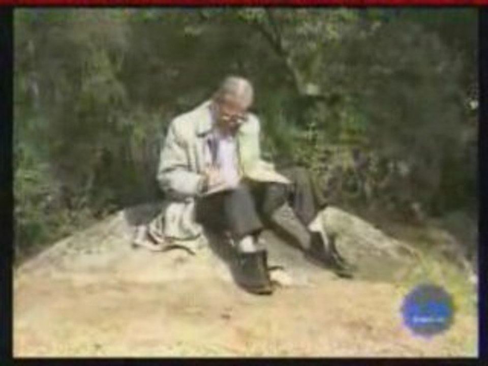 Gestuelle amusante d'animaux