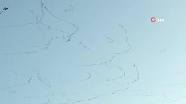 Son dakika haberi: Binlerce ak pelikan Bursa semalarında görsel şölen oluşturdu