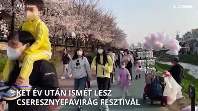 Két év kihagyás után újra cseresznyevirág fesztivál Szöulban