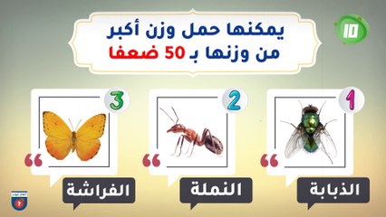إختبر ثقافتك العامة 12 سؤال ثقافي لن يحلها إلا العباقرة !!