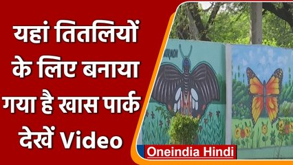 Delhi: लोगों को भा रहा है मर्मूरपुर में बना Butterfly Garden, देखें Video | वनइंडिया हिंदी